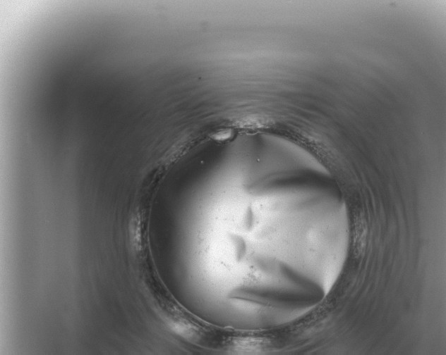 X0000068270268200605051823