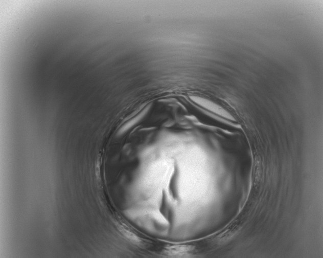 X0000068270269200605051823