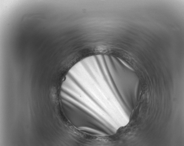 X0000068270270200605051823