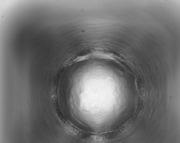 X0000068270272200605051823