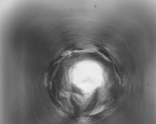 X0000068270273200605051823