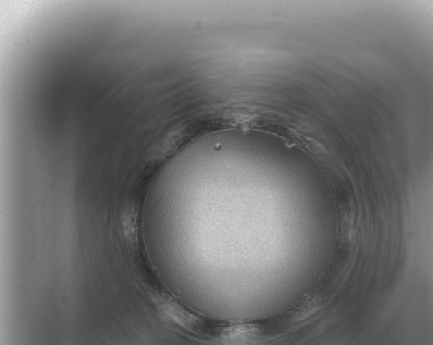 X0000068270274200605051823