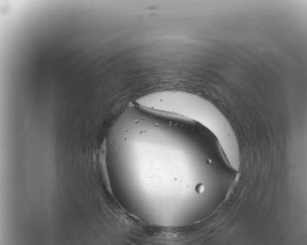 X0000068270276200605051823