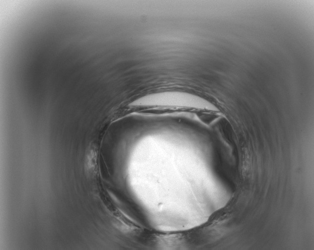 X0000068270281200605051823