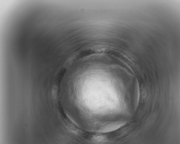 X0000068270283200605051823