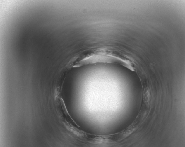 X0000068270284200605051823