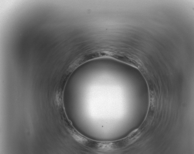 X0000068270285200605051823