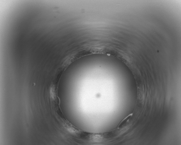 X0000068270287200605051823