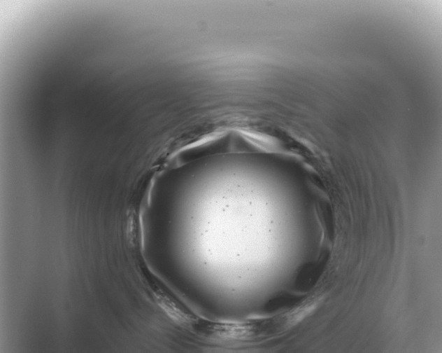 X0000068270288200605051823