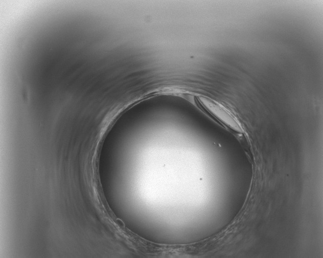 X0000068270289200605051822