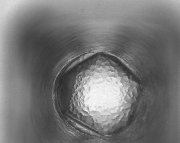 X0000068270290200605051822