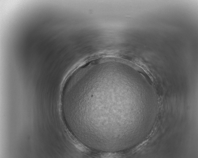 X0000068270293200605051822