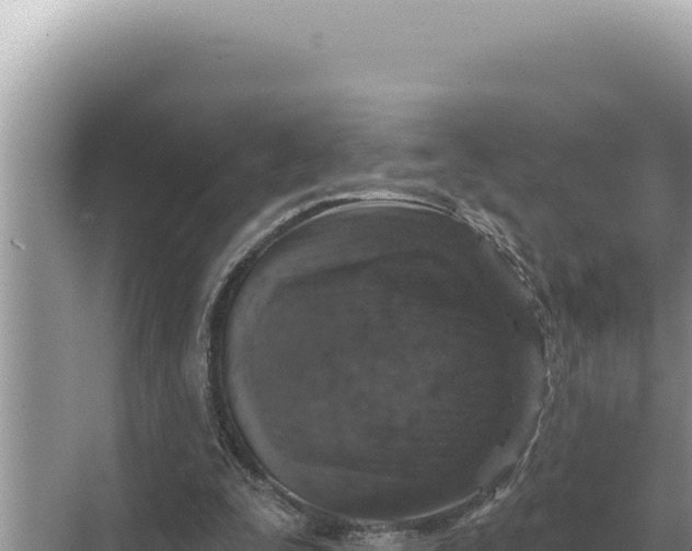 X0000068270295200605051822