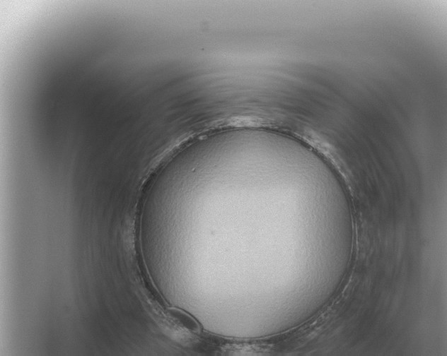 X0000068270297200605051822