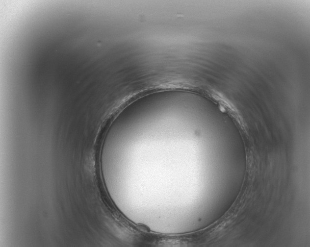 X0000068270298200605051822