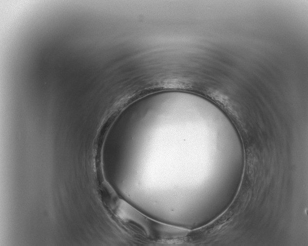 X0000068270299200605051822