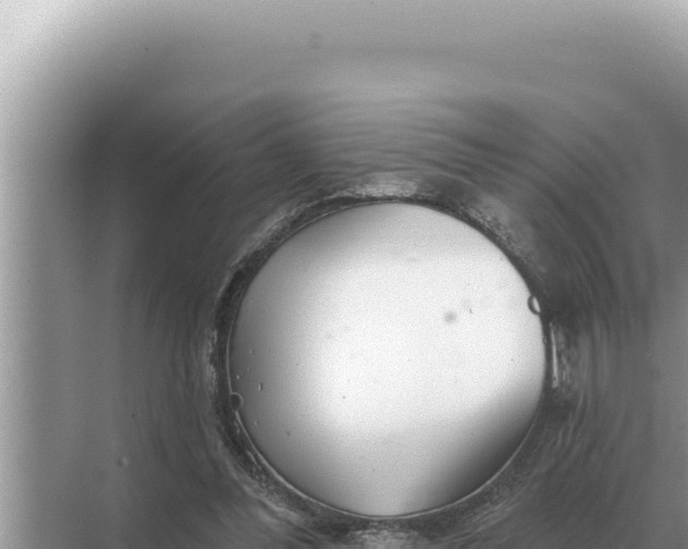 X0000068270300200605051822