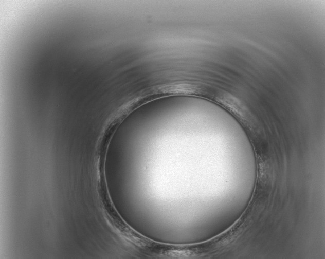 X0000068270302200605051822