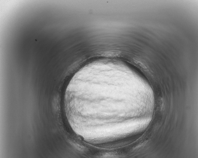 X0000068270303200605051822