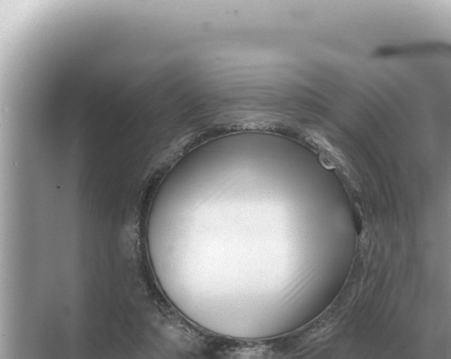 X0000068270306200605051822