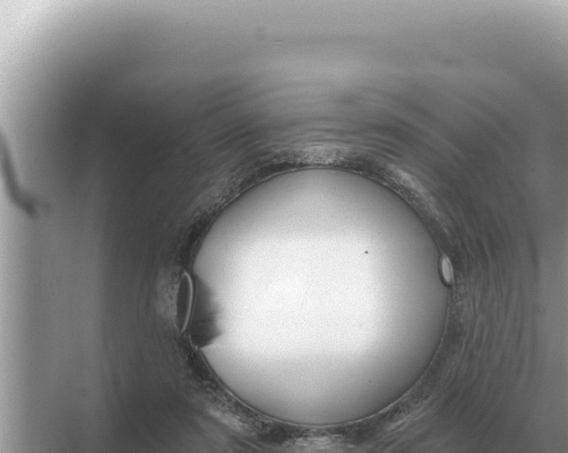 X0000068270307200605051822