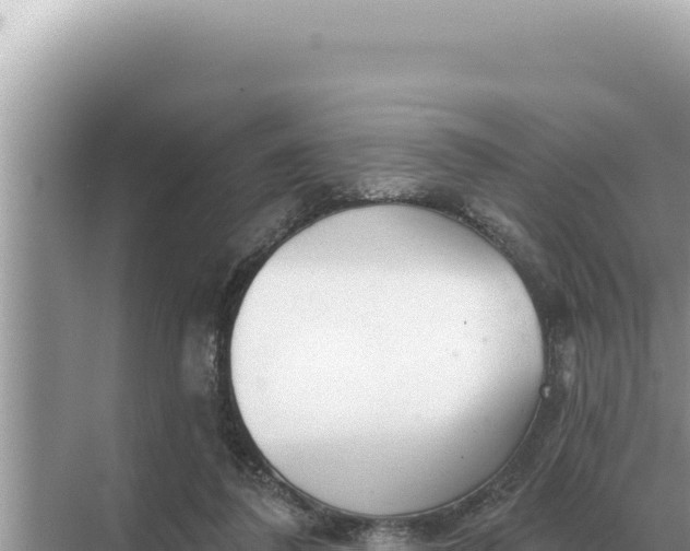 X0000068270308200605051822