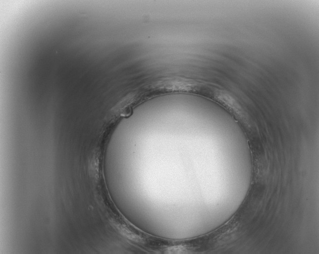 X0000068270309200605051822