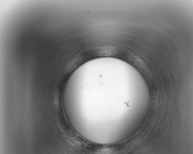 X0000068270312200605051822