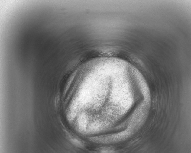 X0000068270314200605051822