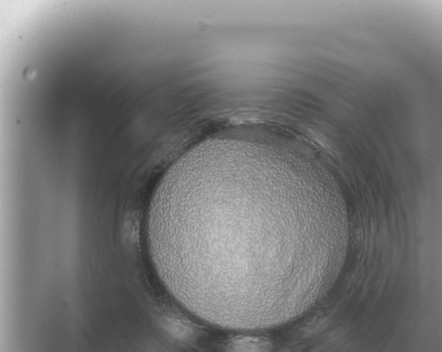 X0000068270315200605051822