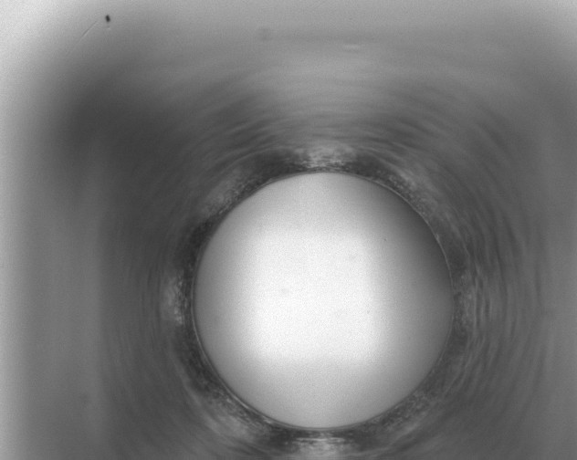 X0000068270316200605051822