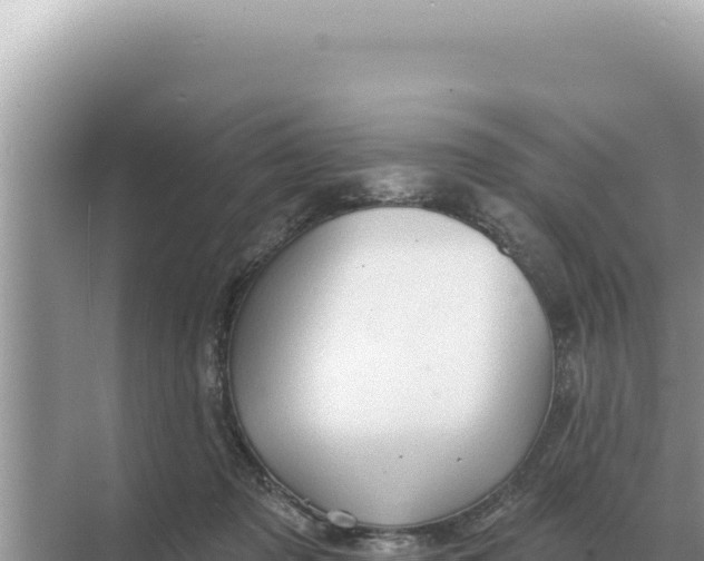 X0000068270317200605051822