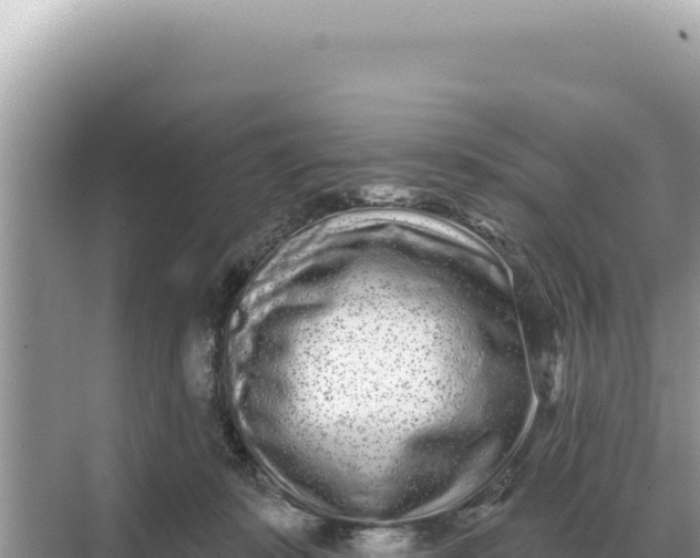 X0000068270319200605051822