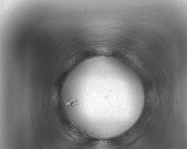 X0000068270320200605051822