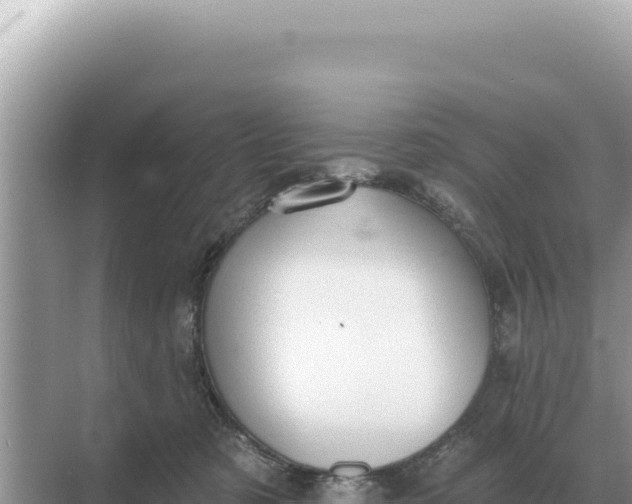 X0000068270321200605051821