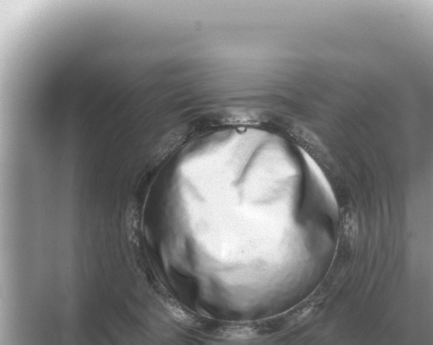 X0000068270322200605051821