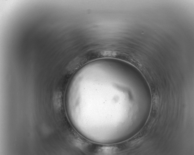 X0000068270323200605051821