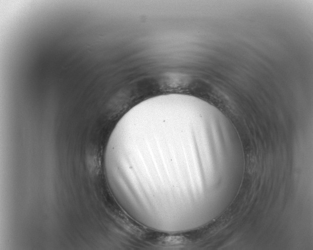 X0000068270324200605051821