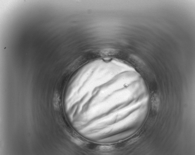 X0000068270327200605051821