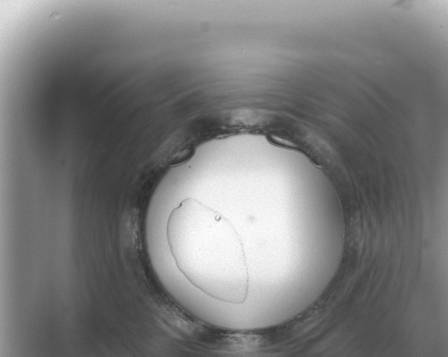 X0000068270328200605051821