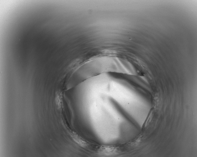 X0000068270329200605051821