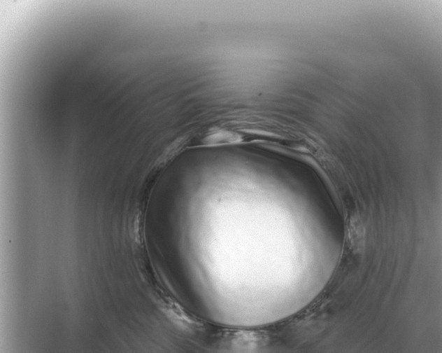 X0000068270330200605051821