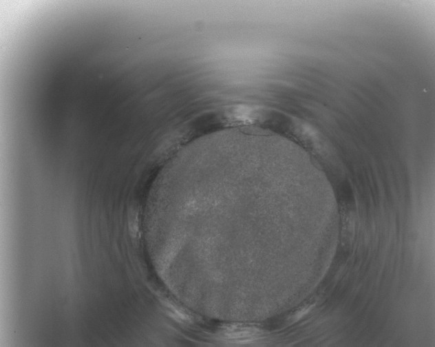 X0000068270331200605051821