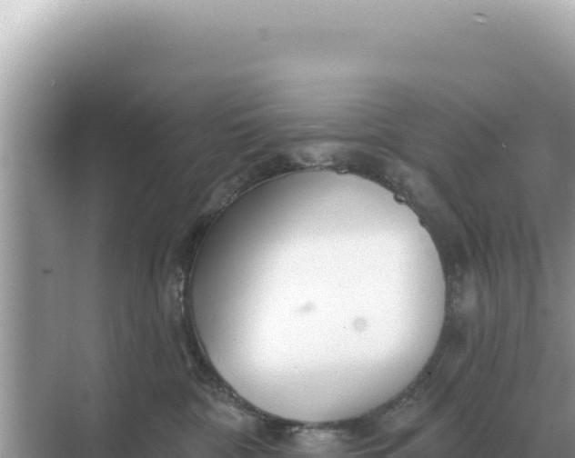 X0000068270332200605051821