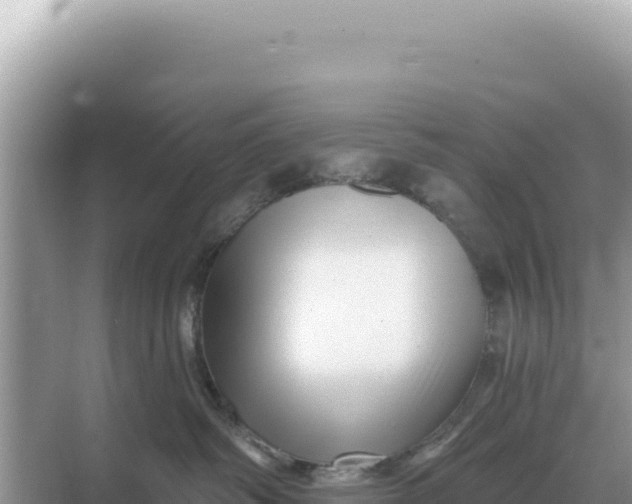 X0000068270334200605051821