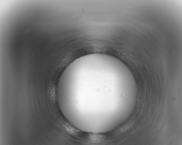 X0000068270336200605051821