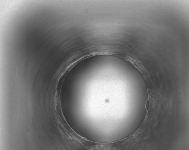 X0000068270338200605051820