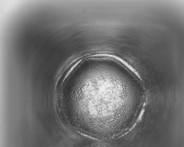 X0000068270339200605051820