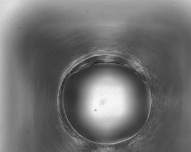 X0000068270340200605051820