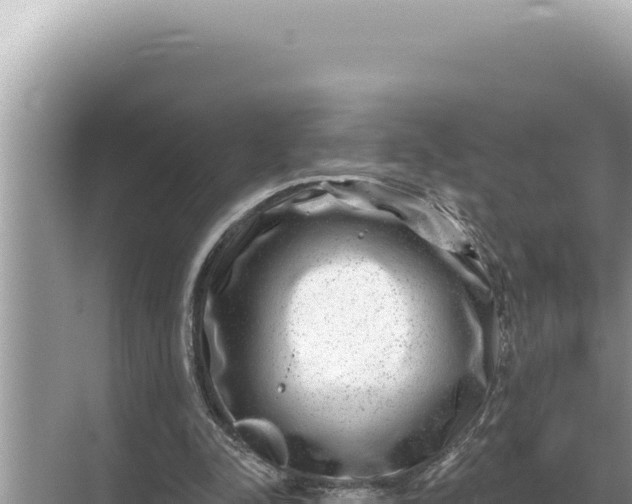 X0000068270342200605051821